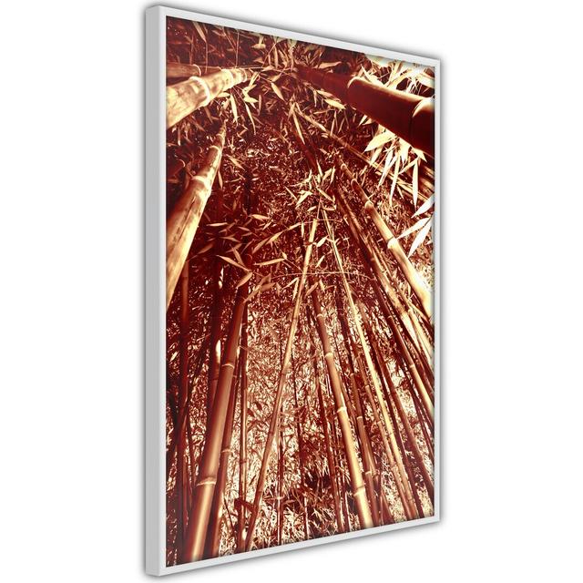 Gerahmter Fotodruck Asian Forest Alpen Home Größe: 45 cm H x 30 cm B x 2 cm T, Rahmenart: Goldener Rahmen on Productcaster.