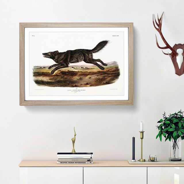 Black American Wolf by J.W. Audubon - Picture Frame Painting Print East Urban Home Frame Option: Oak Framed, Size: 48cm H x 65cm W x 2cm D on Productcaster.