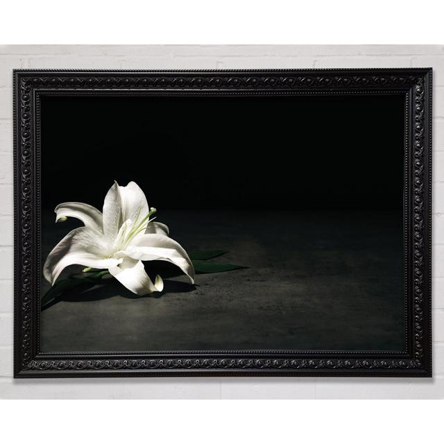 White Lilly On The Floor - Single Picture Frame Art Prints Bright Star Size: 100cm H x 141.4cm W x 3cm D on Productcaster.