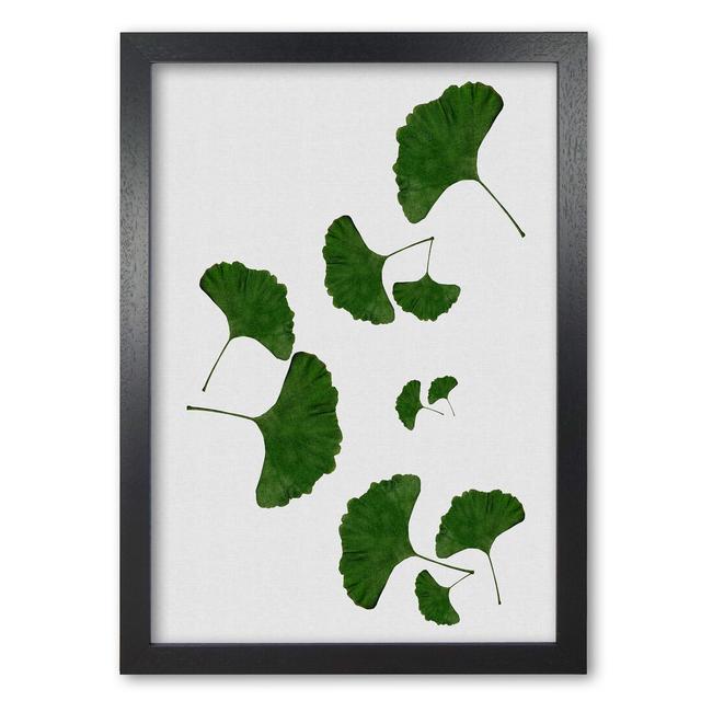 Ginkgo Leaf I - Print East Urban Home Size: 42 cm H x 30 cm W x 5 cm D, Format: Black Grain Frame on Productcaster.