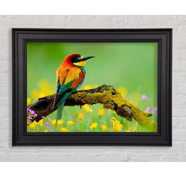 Kingfisher Wild Flowers Framed Print Wall Art Latitude Run Size: 84.1cm H x 142.2cm W x 8cm D, Format: Galway Black Framed Paper on Productcaster.