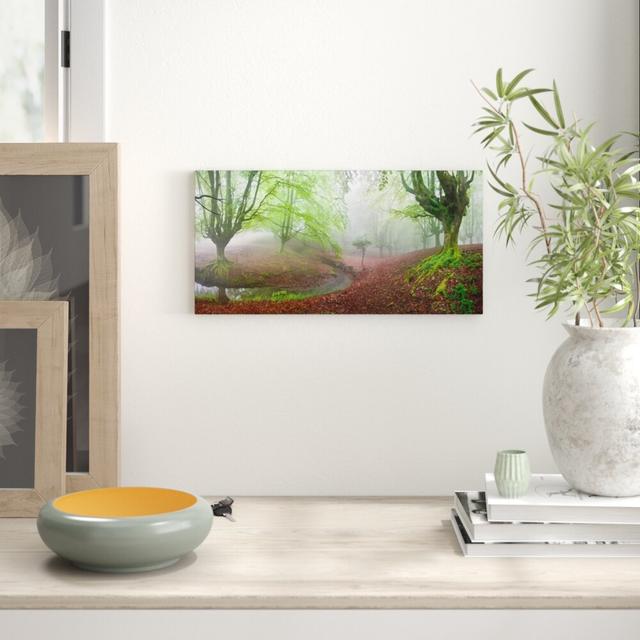 The Forest Marvillador - Wrapped Canvas Photograph Print East Urban Home Size: 30cm L x 60cm W on Productcaster.