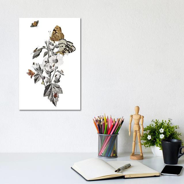 Insect Toile by Heather Landis - Wrapped Canvas Print ClassicLiving Size: 30.4cm H x 20.3cm W x 1.9cm D on Productcaster.