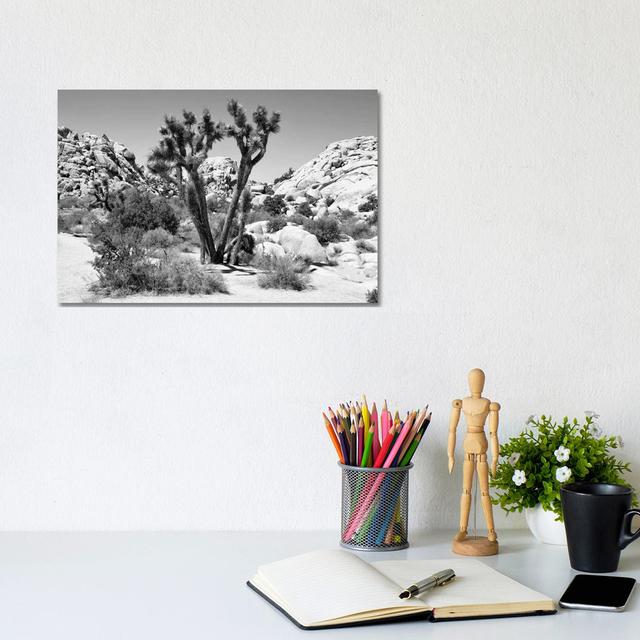 Joshua Tree II by Philippe Hugonnard - Wrapped Canvas Print Natur Pur Size: 20.32cm H x 30.48cm W x 1.91cm D on Productcaster.