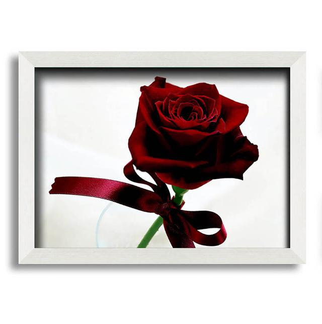 Deep Red Rose - Single Picture Frame Art Prints Brayden Studio Size: 29.7cm H x 42cm W on Productcaster.