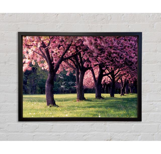 Cherry Blossom Lineup - Single Picture Frame Art Prints on Canvas Bright Star Size: 84.1cm H x 118.9cm W x 3.3cm D on Productcaster.