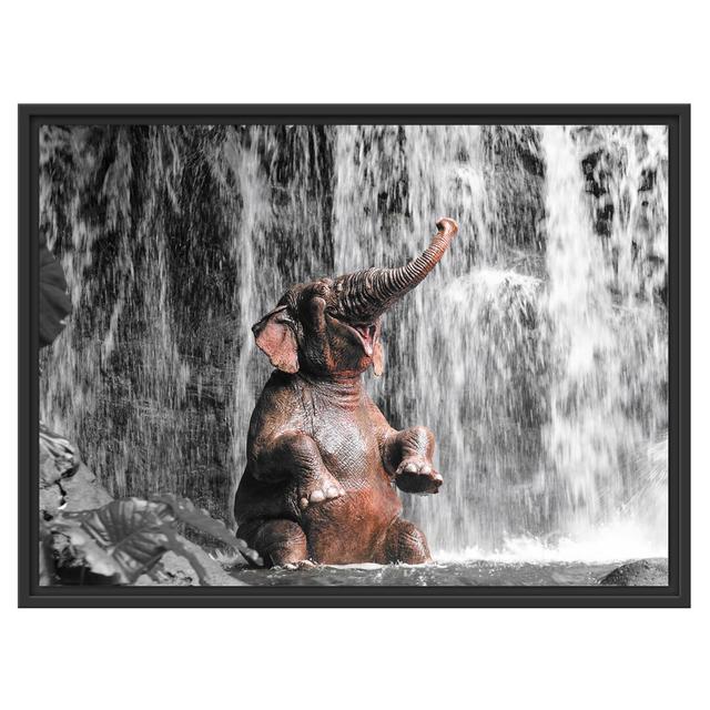 Gerahmter Grafikdruck Baby Elephant at a Waterfall East Urban Home Farbe: Schwarz/Weiß, Größe: 60cm H x 80cm W x 2.4cm D on Productcaster.