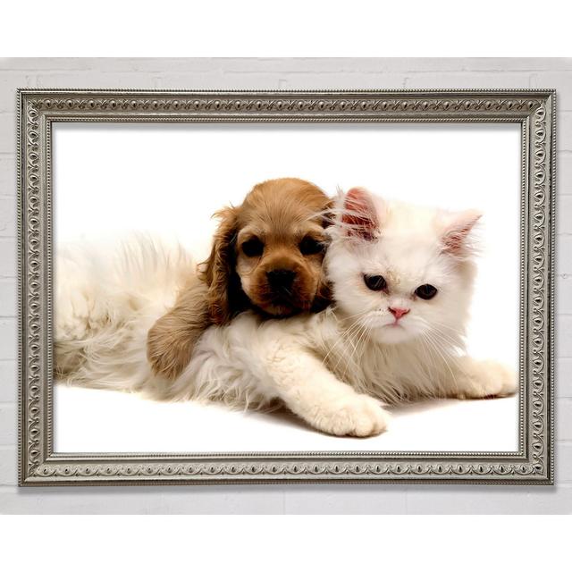 Puppy And Kitten Love - Single Picture Frame Art Prints Ebern Designs Size: 21cm H x 29.7cm W on Productcaster.