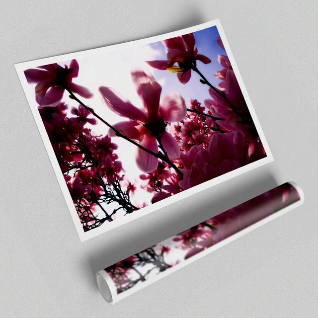 Pink Cherry Blossom In Sunlight Flowers Print Poster - Graphic Art Print on Paper East Urban Home Size: 84.1 cm H x 118.9 cm W on Productcaster.