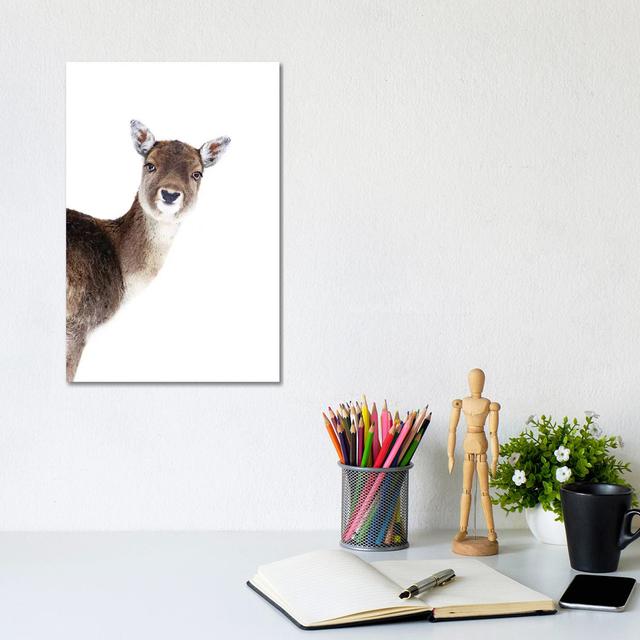 Deer Peekaboo by Monika Strigel - Wrapped Canvas Print Alpen Home Size: 30.48cm H x 20.32cm W x 1.91cm D on Productcaster.