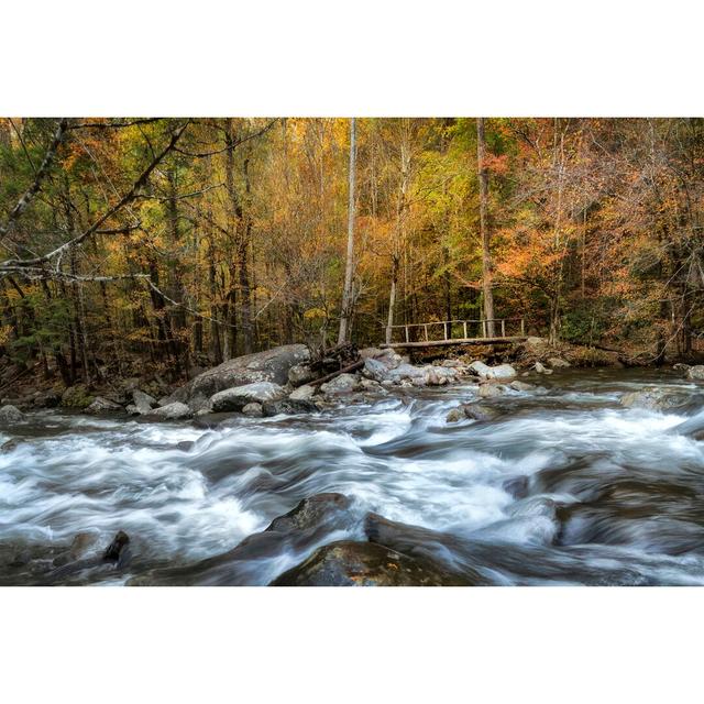 The Foot Bridge by Danny Head - Wrapped Canvas Photograph Print Union Rustic Size: 81cm H x 122cm W on Productcaster.