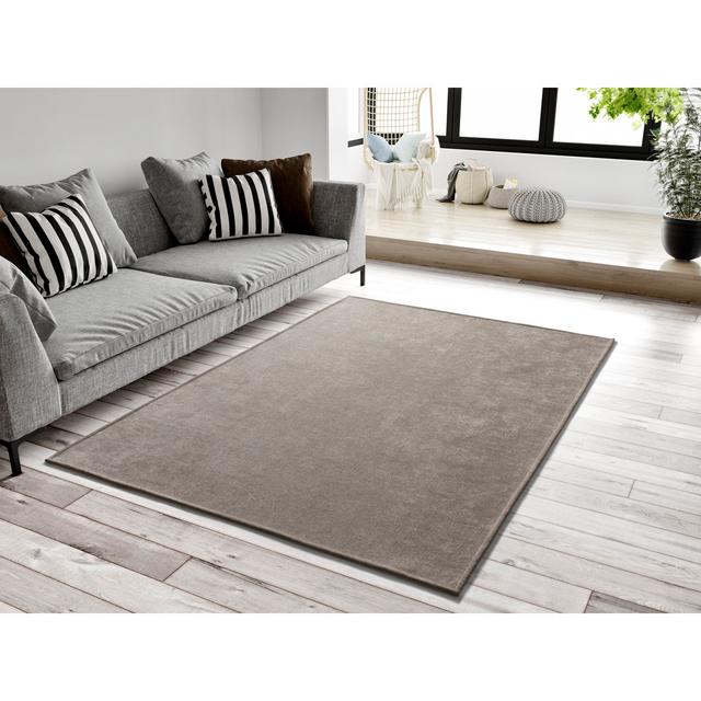 Armbrister Solid Colour Flat Woven Flatweave Beige Area Rug 17 Stories Rug Size: Rectangle 60 x 120cm on Productcaster.