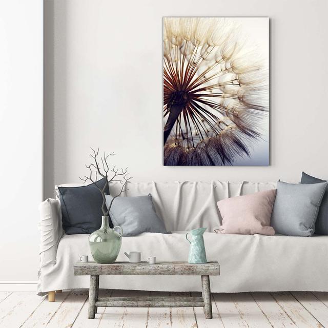 Pusteblume - Kunstdrucke auf Leinwand Brayden Studio on Productcaster.