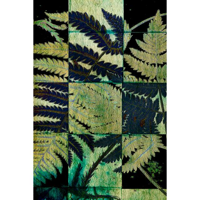 Midnight Ferns I - Wrapped Canvas Art Prints Pergo Classics Size: 46cm H x 30cm W x 3.8cm D on Productcaster.