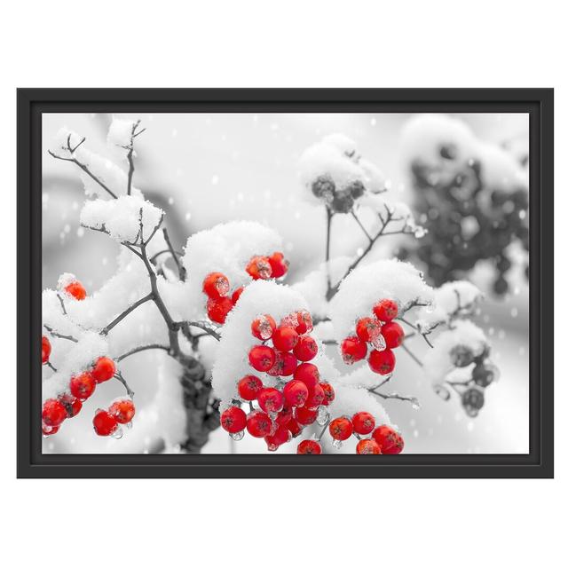 Gerahmtes Wandbild Rote VogelbeerenWinter East Urban Home Größe: 40 cm H x 55 cm B on Productcaster.