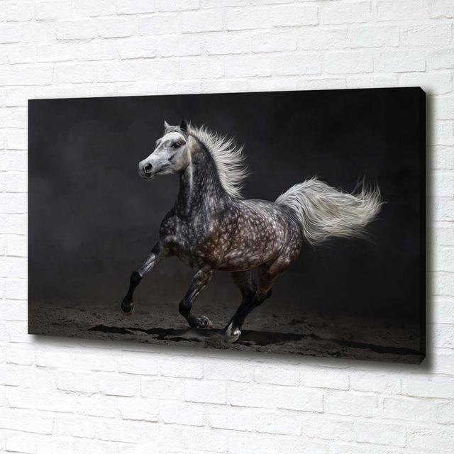 Grey Arabian Horse - Unframed Art Prints on Canvas Gracie Oaks on Productcaster.