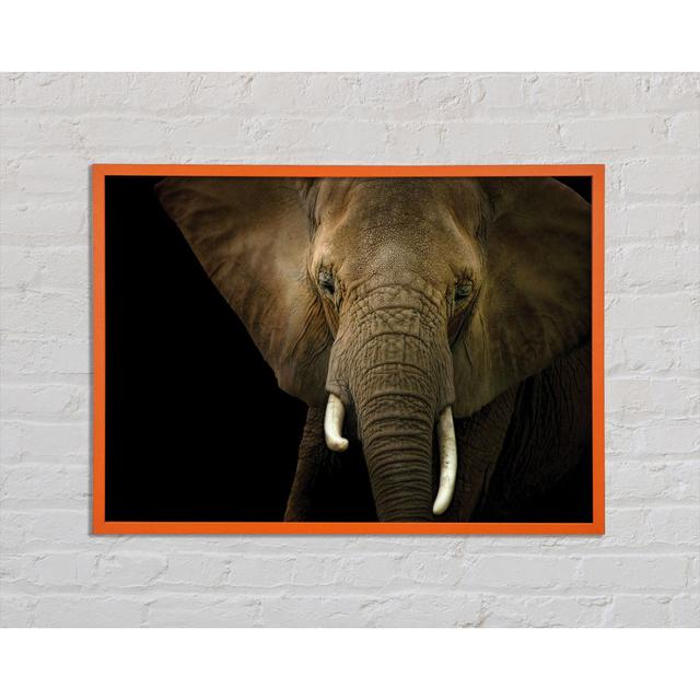 Saraya Stunning Elephant Face - Single Picture Frame Art Prints Bloomsbury Market Size: 29.7cm H x 42cm W x 2cm D on Productcaster.