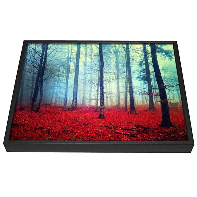 Mist in the Red Forest - Single Picture Frame Art Prints on Canvas Union Rustic Size: 66cm H x 106.6cm W x 10cm D on Productcaster.