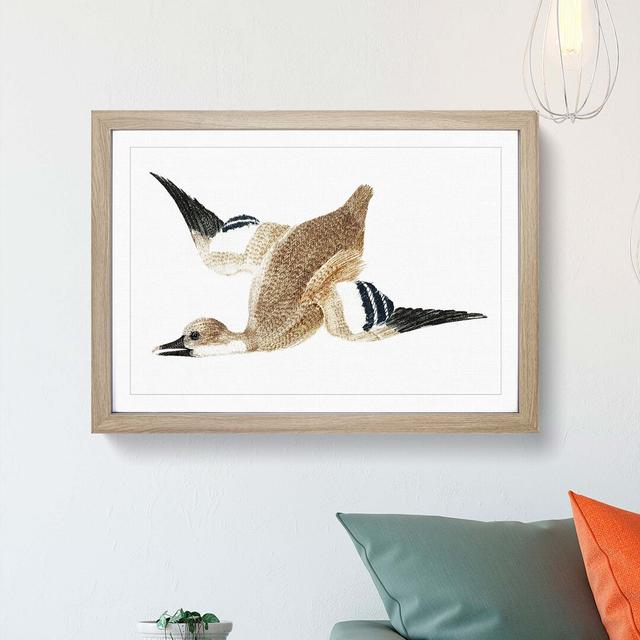 Flying Duck by Johan Teyler - Picture Frame Art Print East Urban Home Size: 60cm H x 91cm W x 2cm D, Frame Option: Oak on Productcaster.