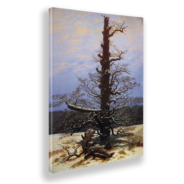 Wandbild Eiche im Schnee von Caspar David Friedrich Alpen Home Format: Stoff, Größe: 95 cm H x 65 cm B on Productcaster.