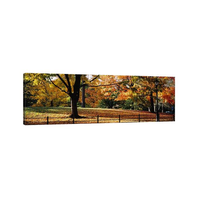 Trees in a Forest, Central Park, Manhattan, New York City, New York, USA - Wrapped Canvas Panoramic Photograph Rosalind Wheeler Size: 60.96cm H x 182. on Productcaster.