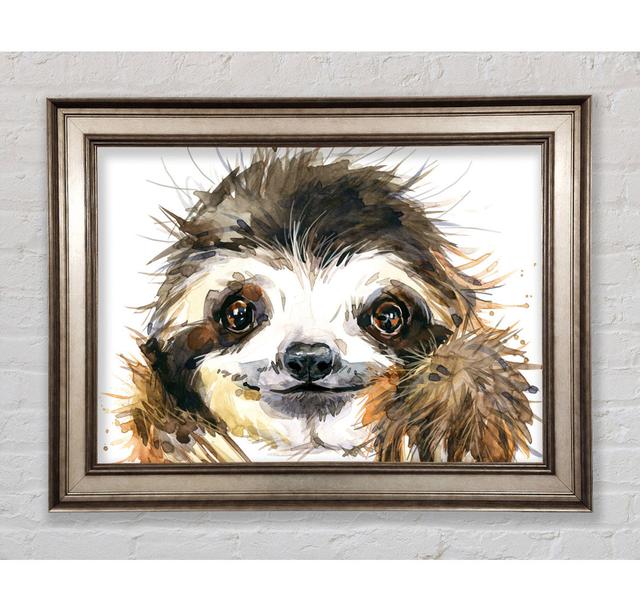 Water Colour Sloth Framed Print Bright Star Size: 84.1cm H x 142.2cm W on Productcaster.