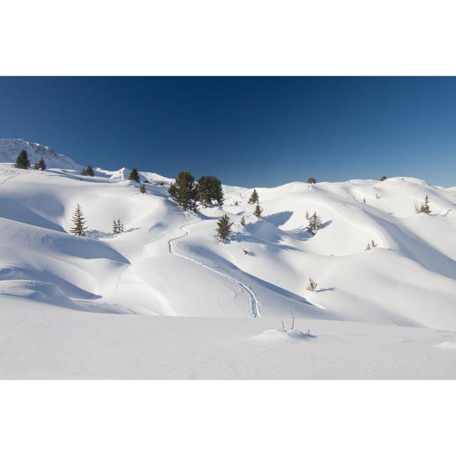 Powder Snow Landscape by Hopsalka - Wrapped Canvas Print Alpen Home Size: 81cm H x 122cm W on Productcaster.