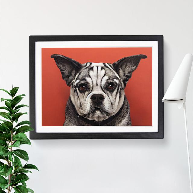 Dog Vol.5 - Single Picture Frame Print Marlow Home Co. Size: 34cm H x 46cm W x 2cm D, Frame Colour: Black on Productcaster.