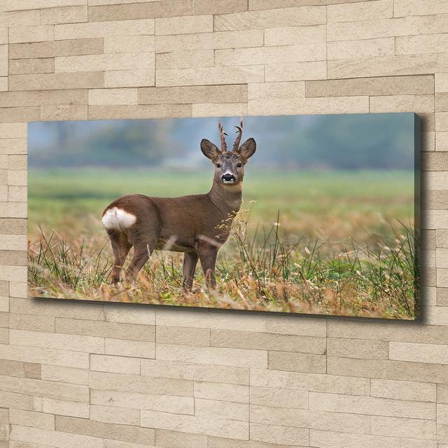 Roe - Unframed Art Prints on Canvas Union Rustic Format: Canvas, Size: 50cm H x 125cm W x 2cm D on Productcaster.