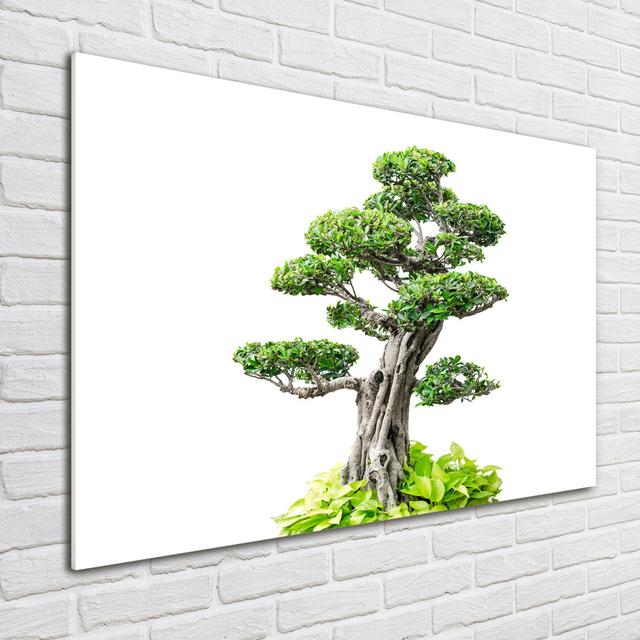 Bonsai Tree - Unframed Art Prints on Glass Ebern Designs on Productcaster.