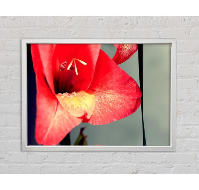 Three Petal Red - Single Picture Frame Art Prints on Canvas Bright Star Size: 59.7cm H x 84.1cm W x 3.3cm D on Productcaster.