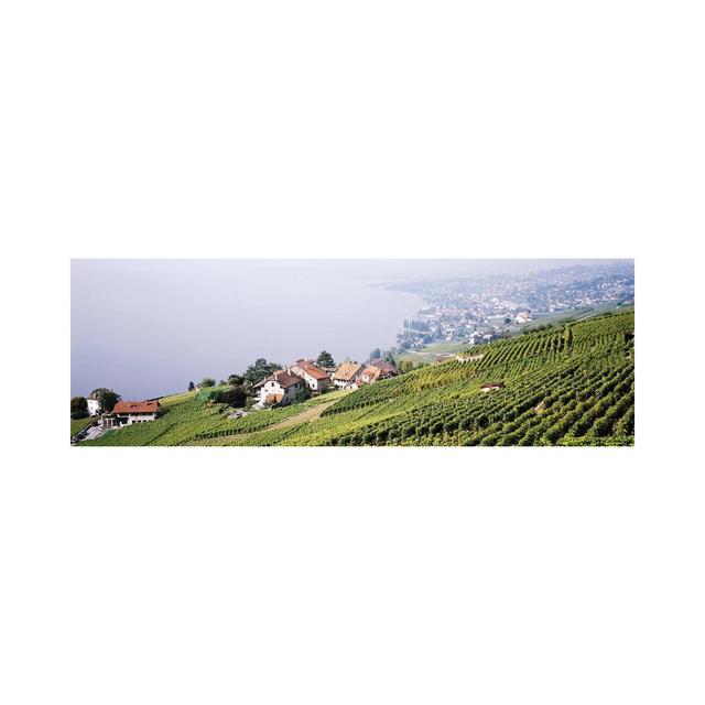 Hillside Sloping Vineyards, Lausanne, Vaud, Switzerland - Wrapped Canvas Panoramic Photograph Ebern Designs Size: 30.48cm H x 91.44cm W x 3.81cm D on Productcaster.