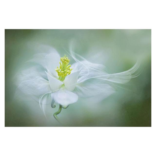 White Columbine 2.25m x 3.36m Textured Matt Peel & Stick Wall Mural East Urban Home on Productcaster.