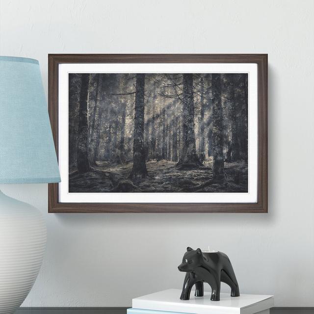 Pine Tree Forest - Picture Frame Graphic Art Print East Urban Home Format: Walnut, Size: 24cm H x 33cm W x 2cm D on Productcaster.