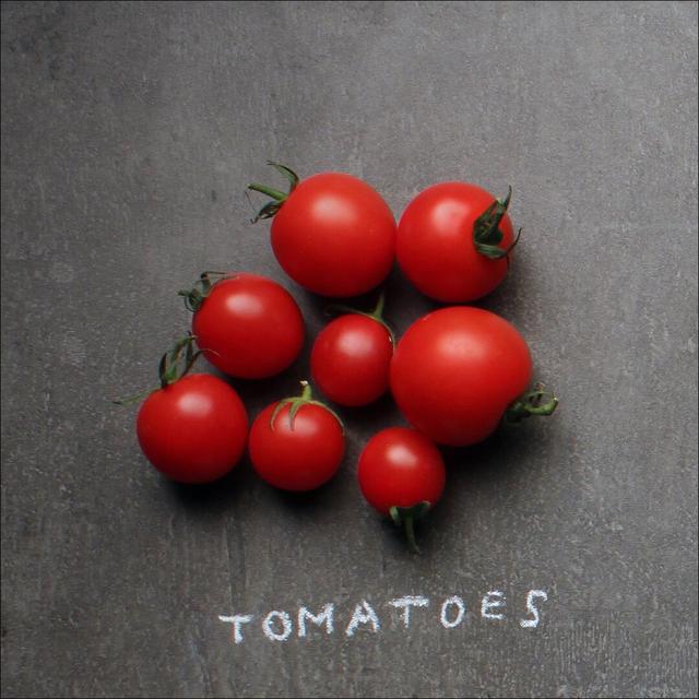 Glasbild Tomatoes, Fotodruck East Urban Home Größe: 20 cm H x 20 cm B x 1.3 cm T on Productcaster.