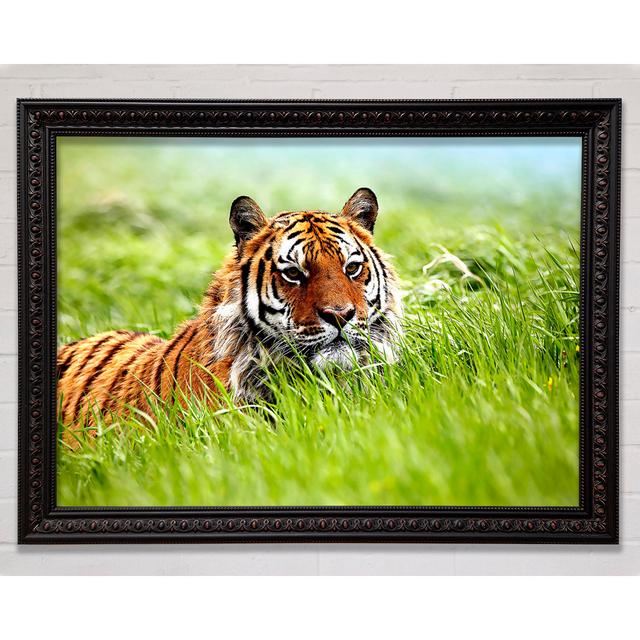 Single Picture Frame Art Prints Bright Star Size: 29.7cm H x 42cm W on Productcaster.