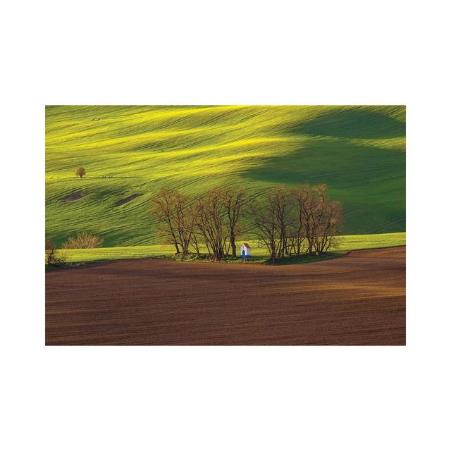 Czech Republic, Moravia. Small Chapel In Trees And Field. by Jaynes Gallery - Wrapped Canvas Print Latitude Run Size: 20.32cm H x 30.48cm W 1.91cm D on Productcaster.