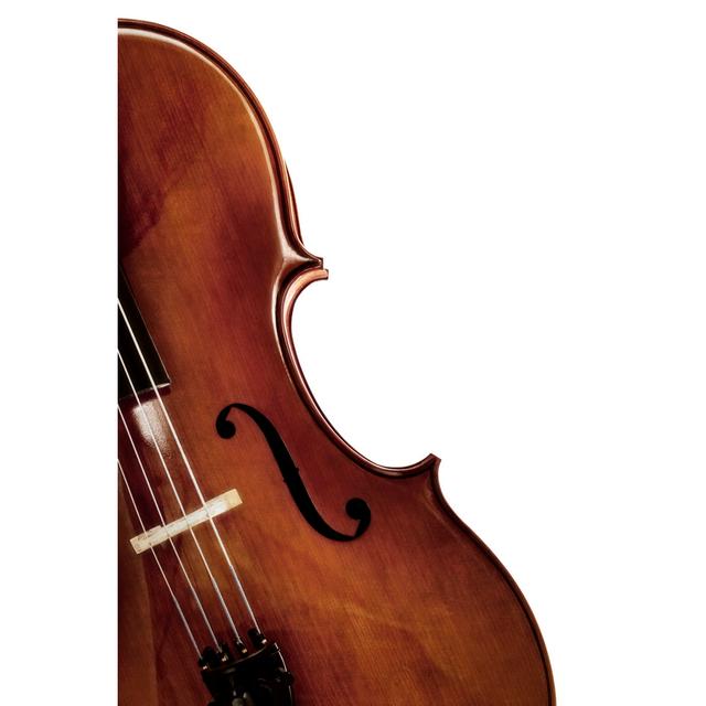 Cello Over White Ebern Designs Size: 46cm H x 30cm W x 3.8cm D on Productcaster.