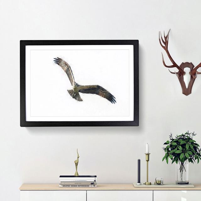 Osprey Bird - Picture Frame Graphic Art Print East Urban Home Size: 62cm H x 87cm W x 2cm D, Frame Option: Black Framed on Productcaster.