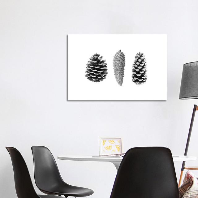 Pine Cones by Sisi & Seb - Gallery-Wrapped Canvas Giclée on Canvas Union Rustic Format: Canvas, Size: 66.04cm H x 101.6cm W x 1.905cm D on Productcaster.