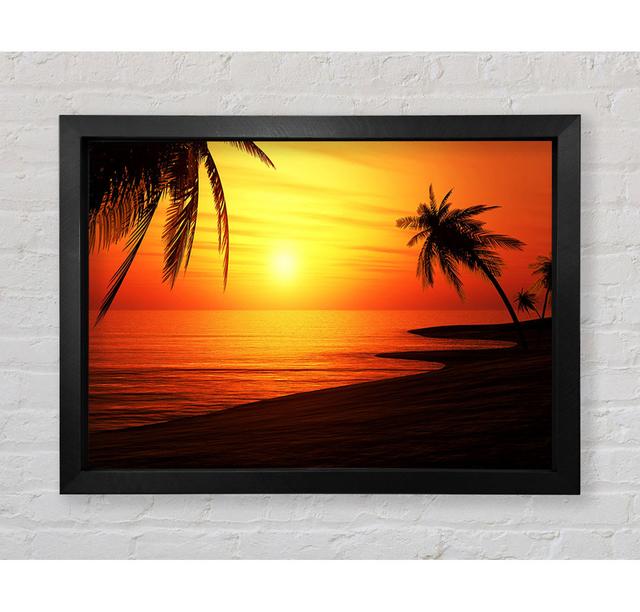 Sun Glow - Print Bright Star Size: 42cm H x 59.7cm W x 3.4cm D on Productcaster.