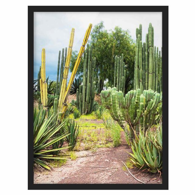 Cacti Landscape - Picture Frame Graphic Art Gracie Oaks Frame Option: Black Framed, Size: 40cm H x 30cm W x 2cm D on Productcaster.