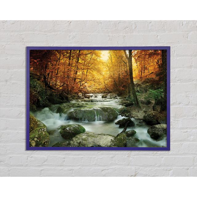 Forest Magic - Single Picture Frame Art Prints Union Rustic Size: 21cm H x 29.7cm W x 2cm D on Productcaster.