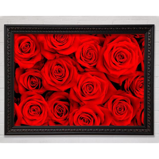 Lovely Roses For The One I Love Framed Print Bright Star Size: 42cm H x 59.7cm W on Productcaster.