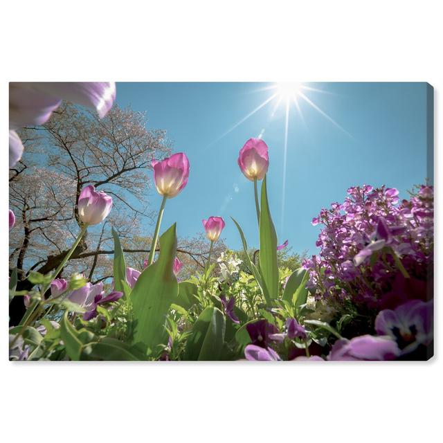 'Curro Cardenal - Garden Full of Flowers' - Wrapped Canvas Photograph Print East Urban Home Size: 60.96 cm H x 40.64 cm W on Productcaster.