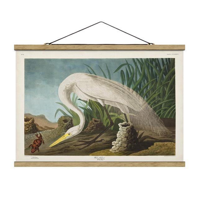 Fabric picture with poster strips - Vintage Educational White Heron II - Landscape format 2:3 Haus am Meer Größe: 33,5 cm H x 50 cm B x 0,3 cm T on Productcaster.