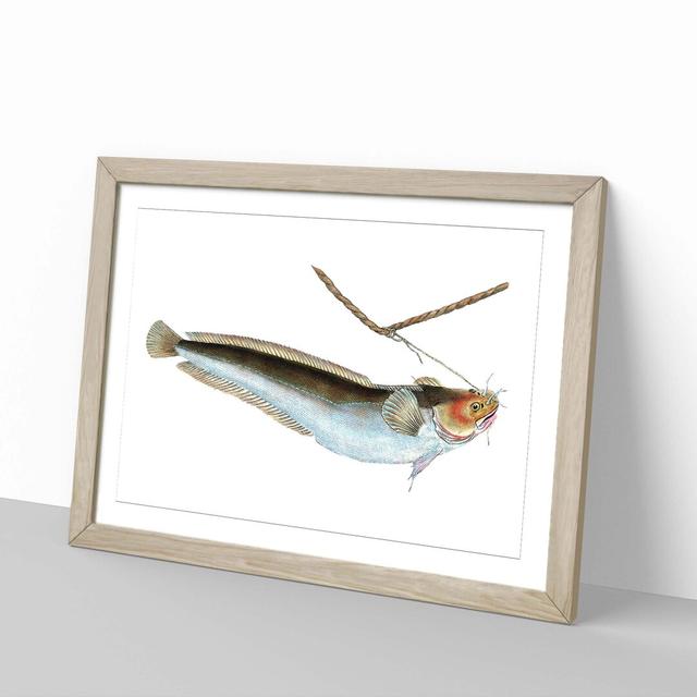 Cod Fish on the Line by Edward Donovan - Picture Frame Painting East Urban Home Frame Option: Oak Framed, Size: 27cm H x 36cm W x 2cm D on Productcaster.