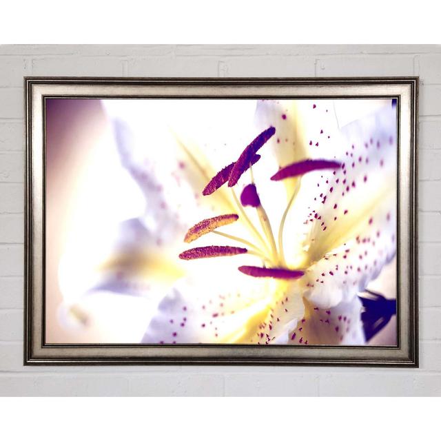 White Tiger Lily - Single Picture Frame Art Prints Brayden Studio Size: 42cm H x 59.7cm W x 1.5cm D on Productcaster.