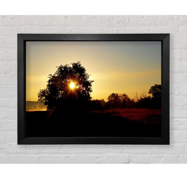 Sun Piercing Through The Tree - Single Picture Frame Art Prints Bright Star Size: 42cm H x 59.7cm W x 3.4cm D on Productcaster.