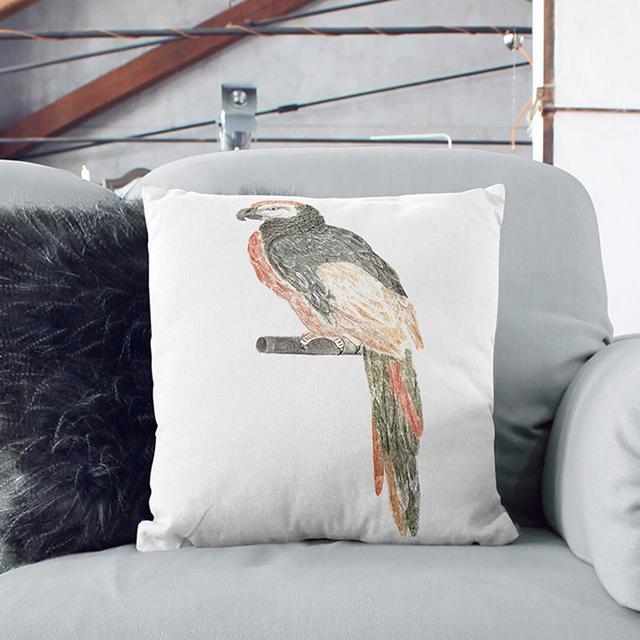 Illustration of a Parrot by Johan Teyler Cushion with Filling East Urban Home Size: 55cm H x 55cm W x 20cm D, Backing Colour: Black on Productcaster.